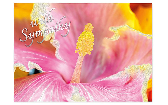 Greeting Card, Pink Hibiscus