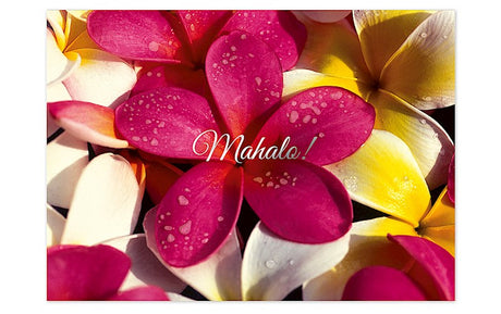 Greeting Card, Plumeria Sea