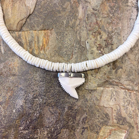 White clam shell necklace with natural sharktooth pendant and screw-on clasp