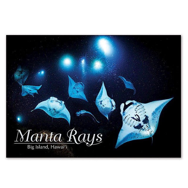 Postcard 4x6, Manta Rays