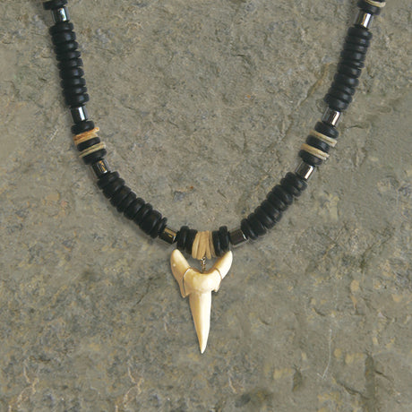 Resin, Shortfin Mako Shark Tooth