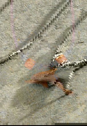 Rubber cord necklace featuring a wooden dolphin pendant, showcasing a charming and tropical-inspired design perfect for ocean lovers.