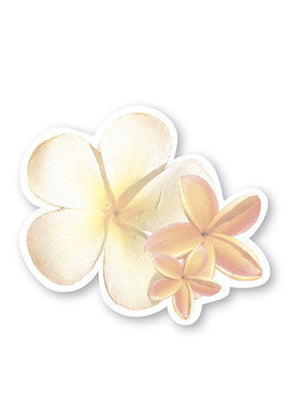 Shaped Aloha Stick 'N Notes featuring Plumeria Blossoms design, showcasing colorful plumeria flowers in a tropical theme, perfect for notes and reminders.