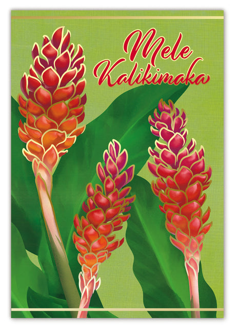 Supreme Box Mele Kalikimaka 12 Pack Cards, Holiday Tropical Ginger
