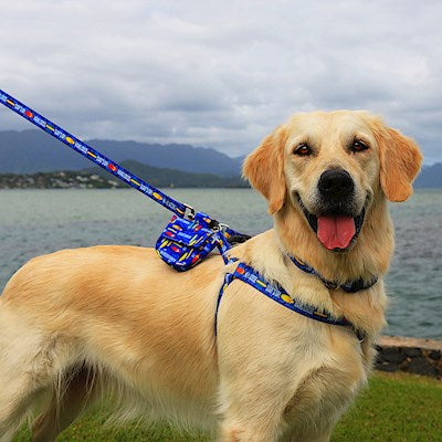 Pet Harness - Surf's Up