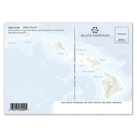 Back of a postcard with gecko illustrations and 'Island Heritage' branding.