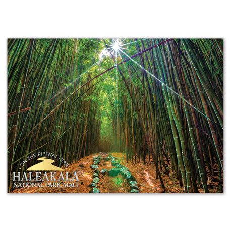 Bamboo forest with a path leading through it, featuring Haleakala National Park branding.