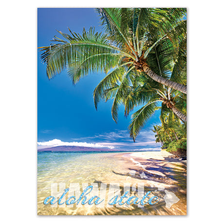 Tropical beach scene with palm trees and clear blue sky, featuring 'aloha state' text.