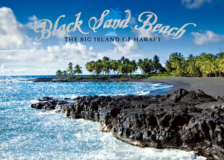Black sand beach with palm trees and ocean view on The Big Island of Hawaii