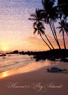 Beach scene with palm trees and a turtle, labeled 'Hawaii's Big Island'.