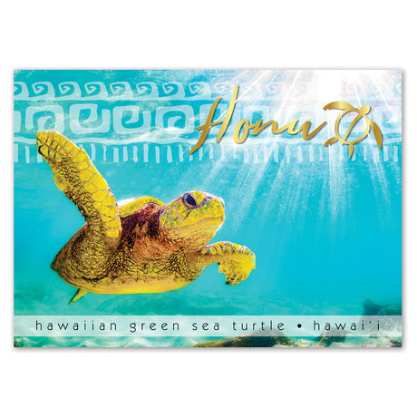 Hawaiian green sea turtle with 'Honu' text on a blue background