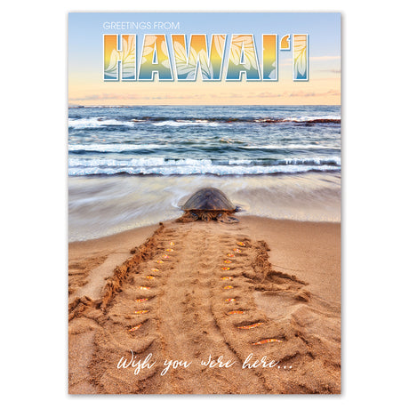 Hawaiian greeting card with turtle on beach and ocean view