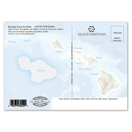 Hawaiian green sea turtle postcard with map and branding