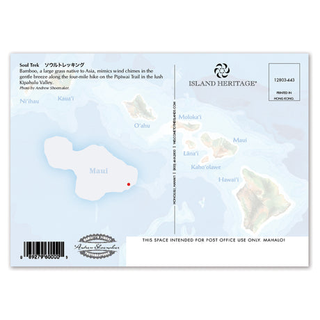 Postcard with a map of Hawaii and text on a light blue background