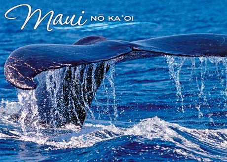 Whale tail with water splashes in the ocean, featuring 'Maui No Ka'Oi' text.